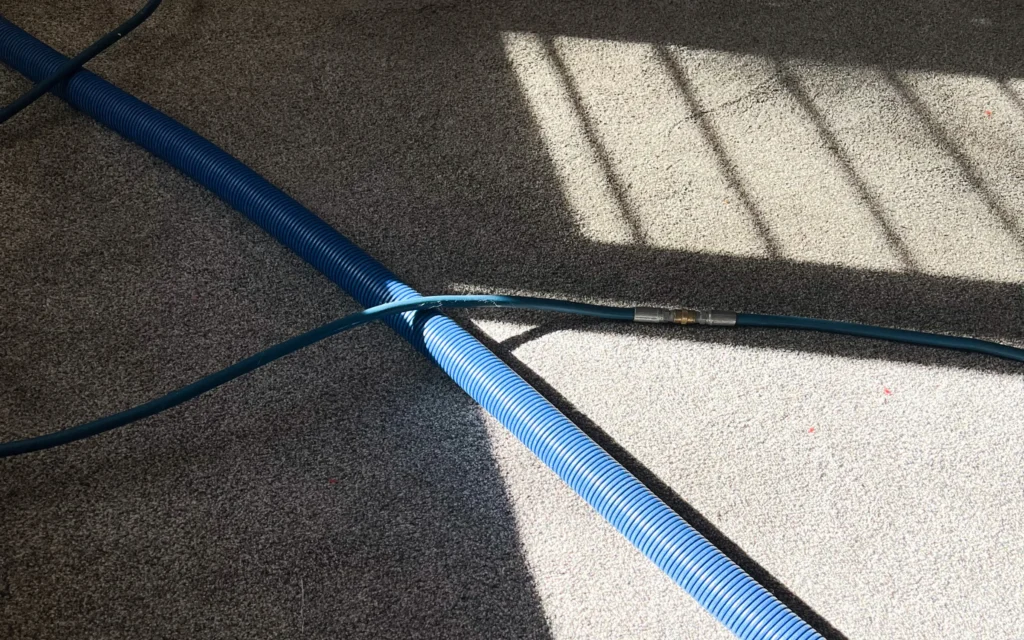 Benefits of Professional Carpet Cleaning Benjamin's Carpet